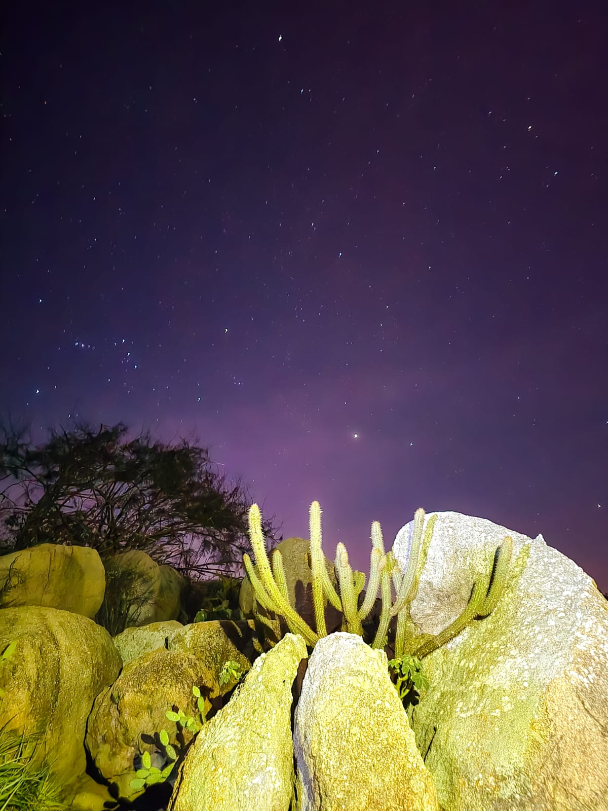 Lajedo do Pai Mateus em Cabaceiras